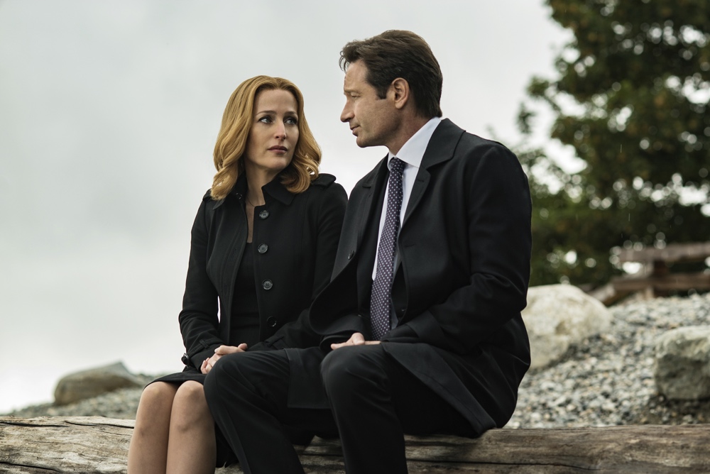 imdb x files home again